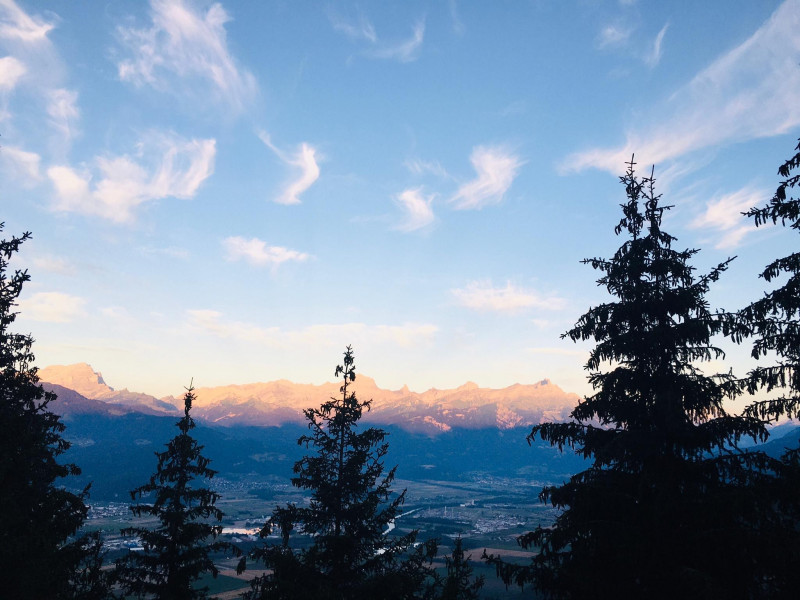 vue depuis terrasse